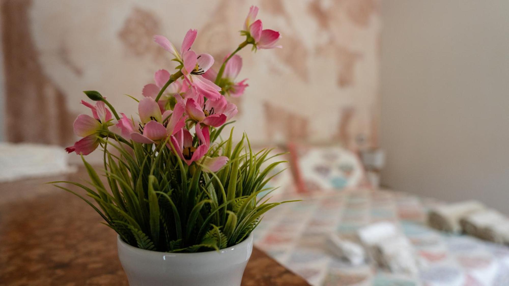 B&B Da Carmela Sant'Ambrogio sul Garigliano Kültér fotó
